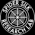 gallery/spider silk lab